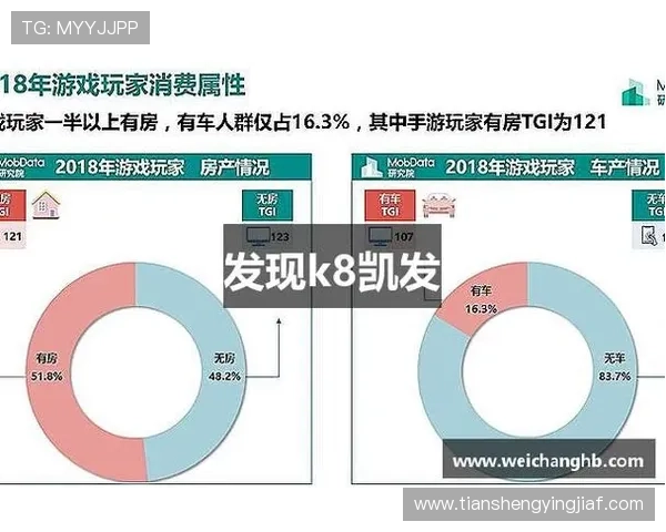凯发体育官网app安全保障措施解析，确保玩家资金与个人信息的双重安全